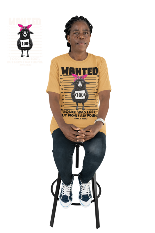 WANTED™ Once Was Lost Faith Tee (Luke 15:10)